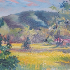 ojai_mustard