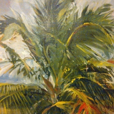 palm
